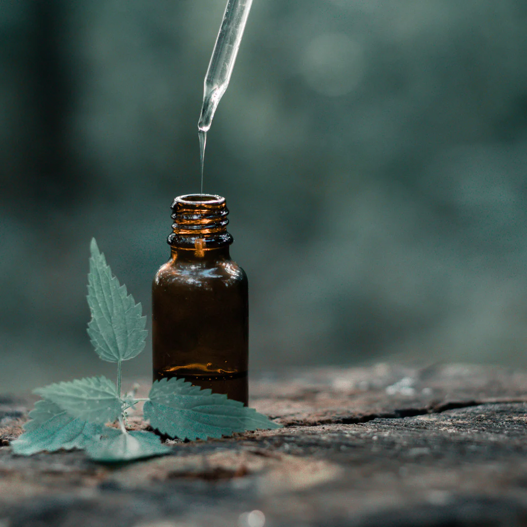 Harnessing Nature's Essence: The Power of Aromatherapy Oils